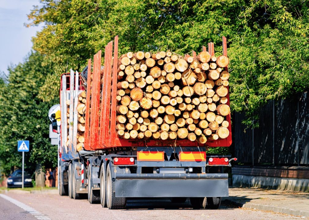 Camion cu peste 41 de metri cubi de lemn, confiscat