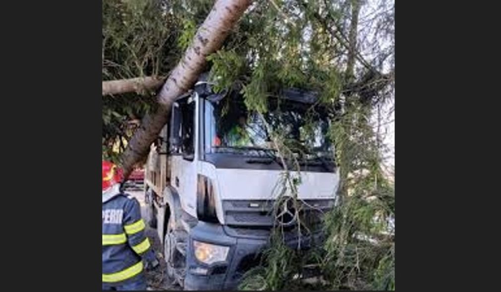 Un șofer a intrat în copac. Era beat