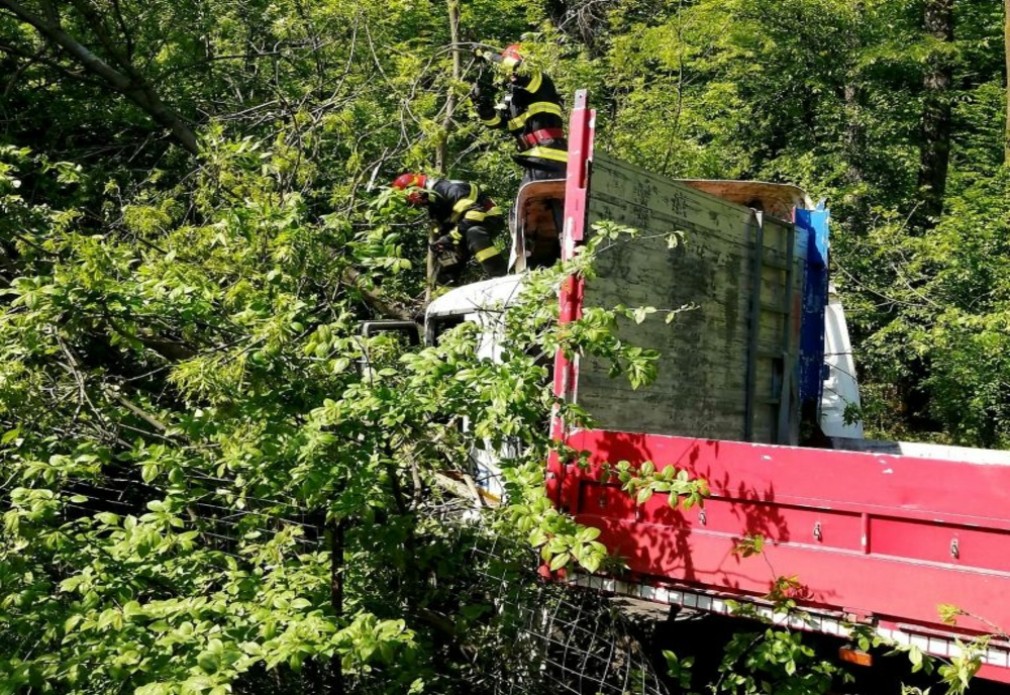 Un șofer de camion a pierdut controlul. S-au tăiat copaci pentru eliberarea vehiculului
