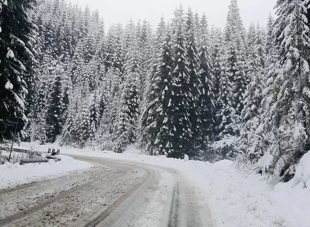 Mai multe camioane au rămas blocate din cauza ninsorii