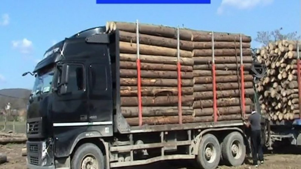 VIDEO Camion de lemne cu acte dubioase de proveniență, găsit în curtea poliției