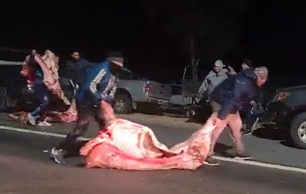 VIDEO. Zeci de oameni jefuiesc un camion răsturnat care transporta carne de porc