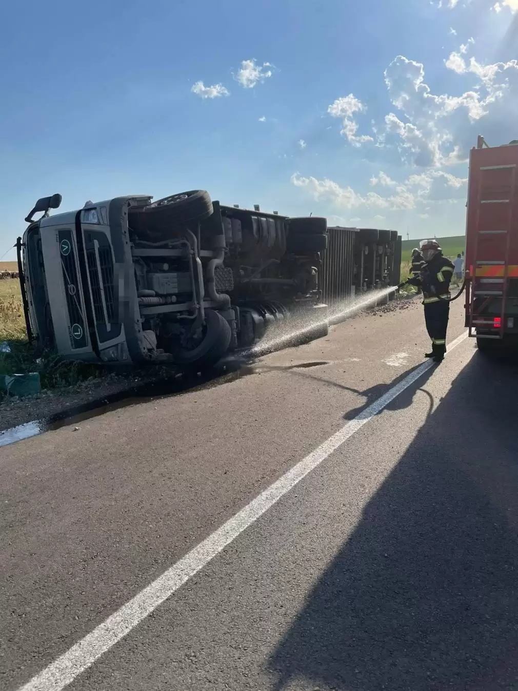 100 de oi au murit după ce camionul cu care erau transportate s-a răsturnat