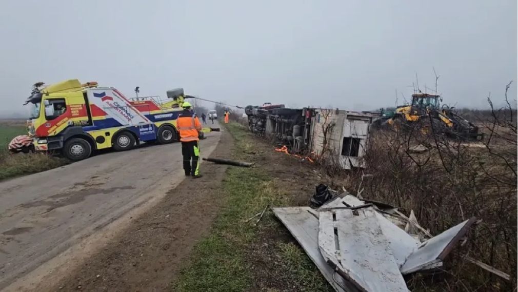 Camion a ieșit în decor într-o curbă. Mult animale au murit