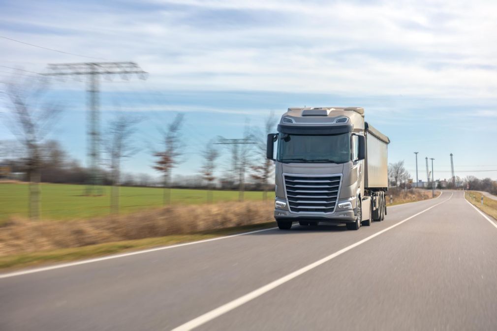 Un camion cu 200 de oi s-a răsturnat. Aproape niciun animal nu a supraviețuit