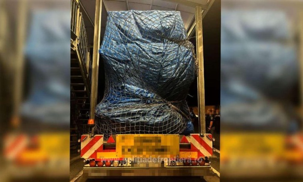 11 sirieni găsiți într-un camion. Voiau să treacă ilegal granița