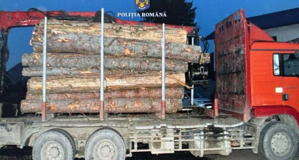 Camion în valoare de 60.000 de lei, confiscat de polițiști pentru transport ilegal de lemn