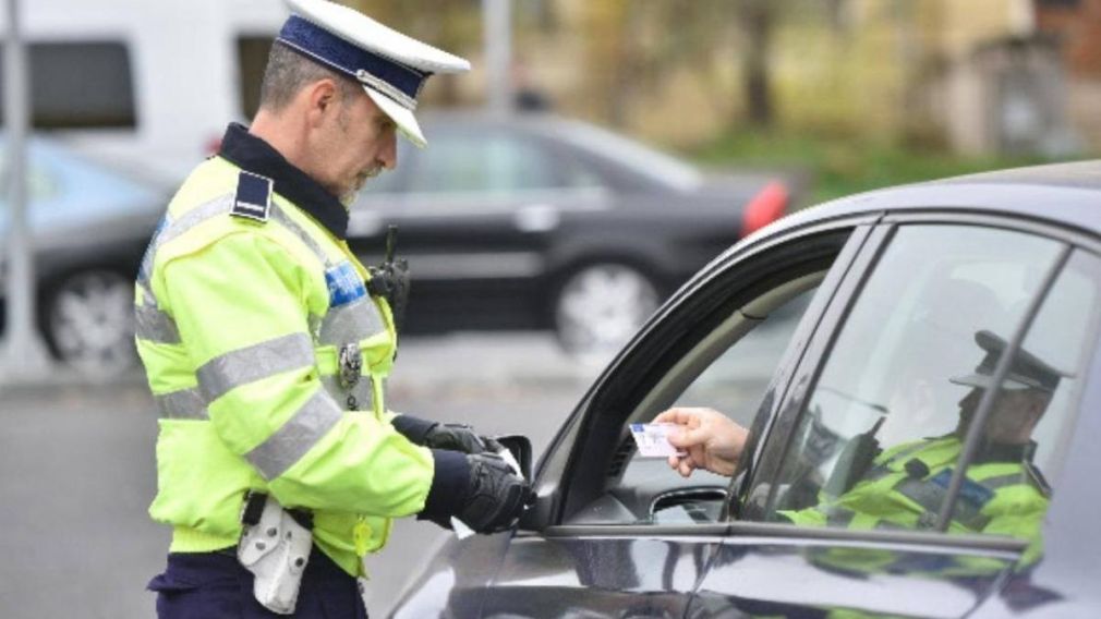 Un porc a sărit din remorcă și a ajuns pe banda de urgență. Șoferul, amendat