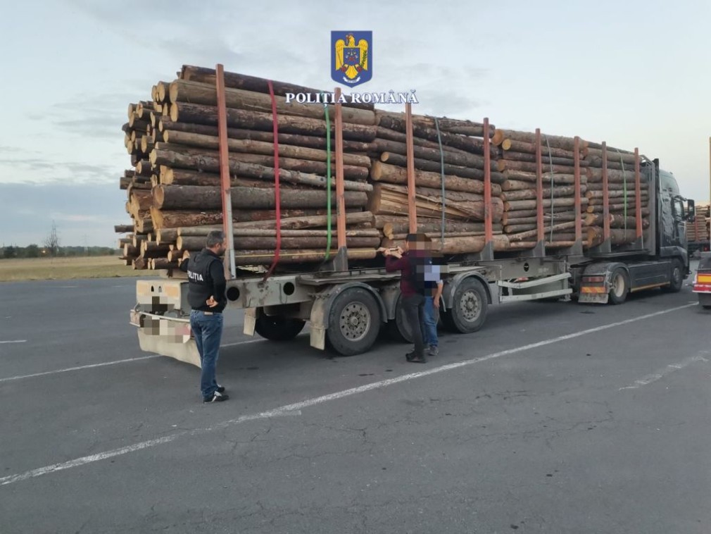 Polițiștii au confiscat un camion încărcat cu 43 de metri cubi de lemne