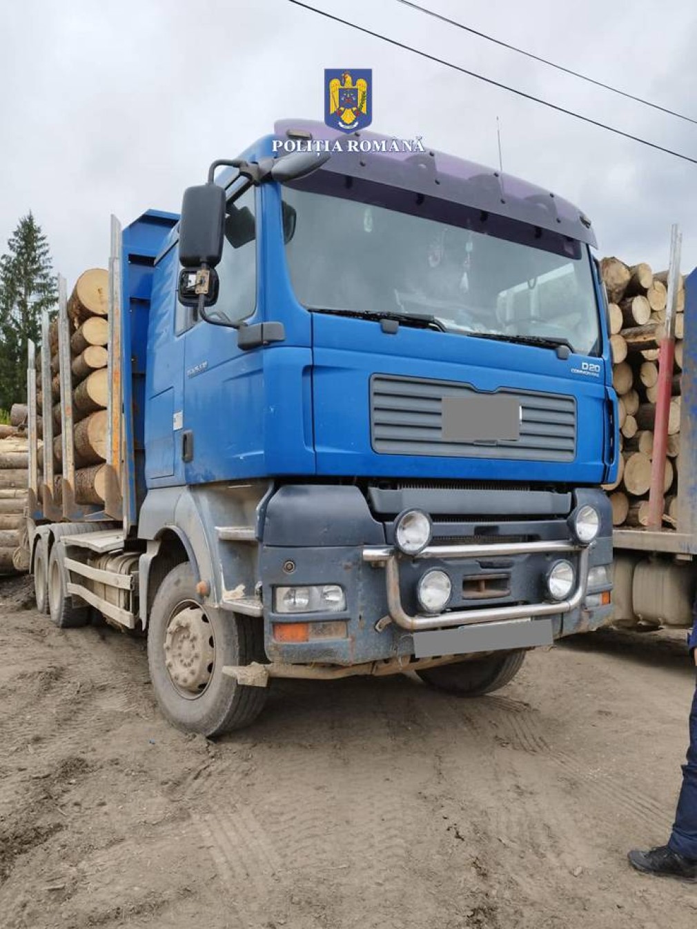 Poliția a confiscat un camion de mare tonaj și 20 metri cubi lemn