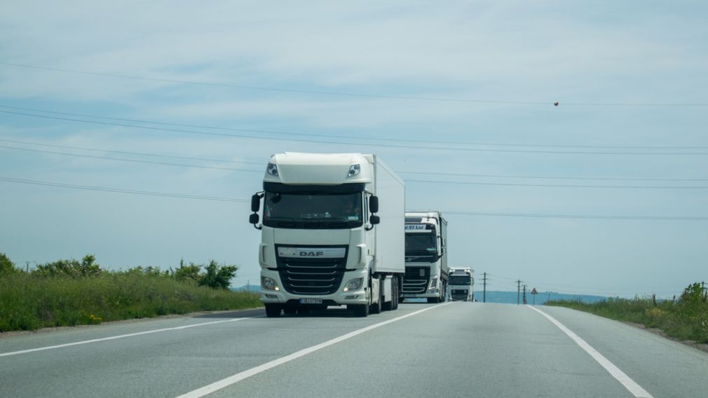 Surpriză pentru vameși când au deschis ușile de la remorca unui camion