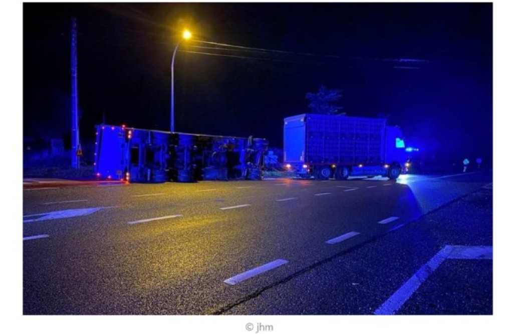 Un șofer român s-a răsturnat cu camionul în drum spre abator