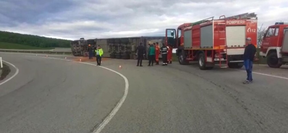 VIDEO. Un camion cu oi s-a răsturnat în Bistrița, iar zeci de animale au murit