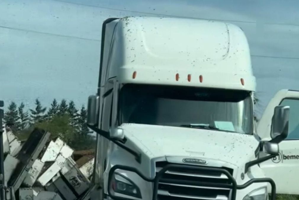 Milioane de albine au scăpat după ce un camion cu stupi s-a răsturnat