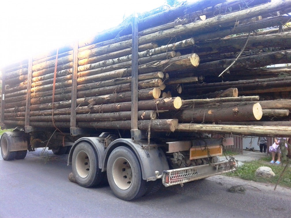 VIDEO: Amenzi de 415.000 de lei pentru transport ilegal de lemn şi 150 de camioane confiscate