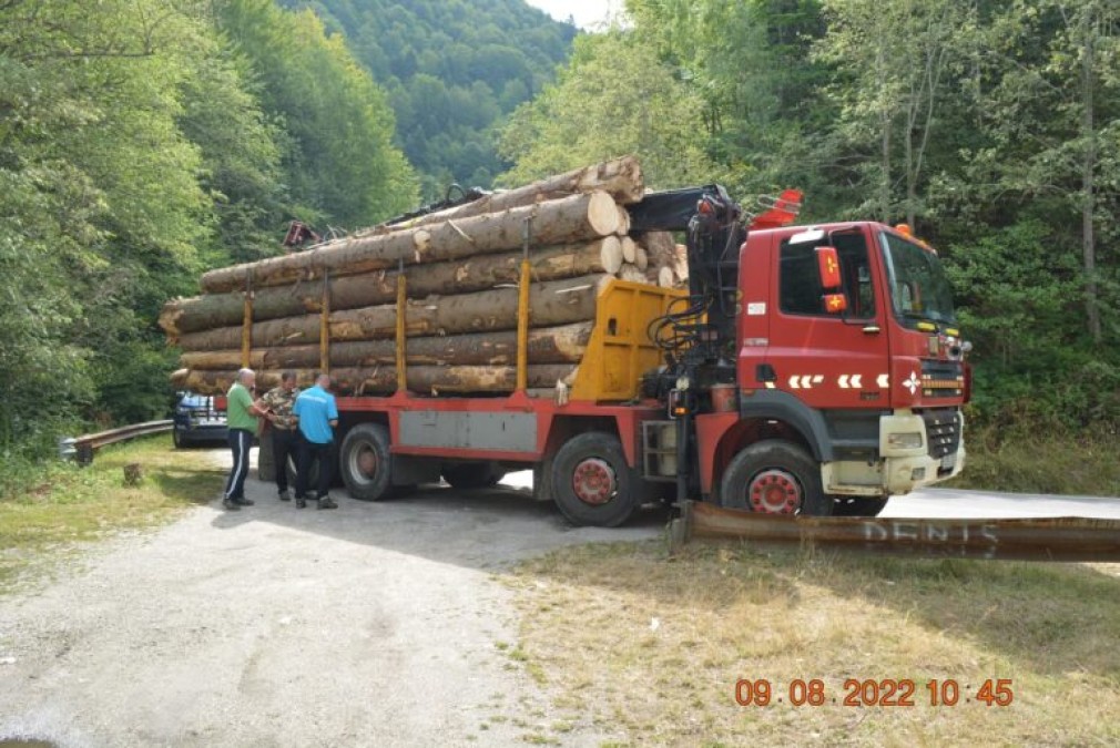 Un camion și peste 25 de metri cubi de lemn transportat ilegal, confiscat
