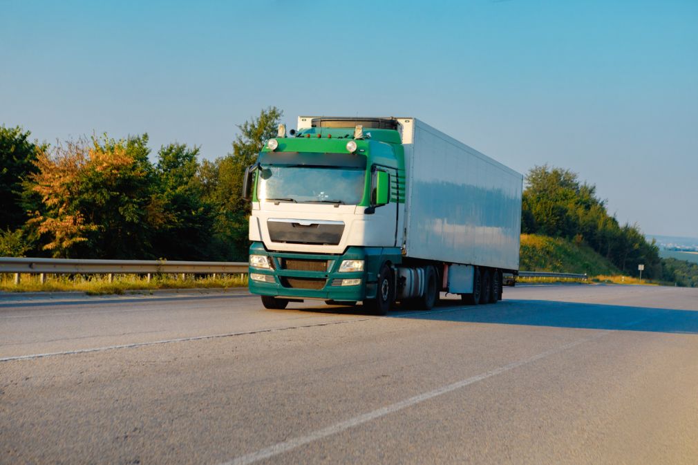 Un mistreț a intrat pe autostradă, iar șoferul a ajuns pe contrasens. Dezastru complet