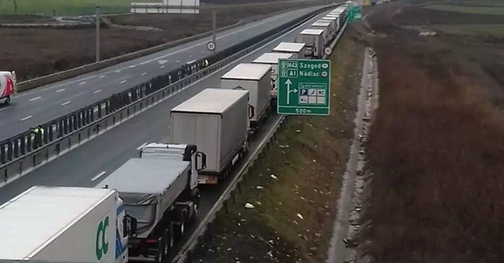 Polițiști sub acoperire au lucrat ca șoferi de camion pentru a demasca șpaga din vămi