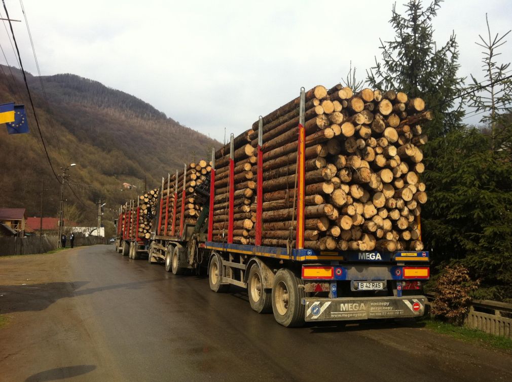 44.000 lei amendă pentru un șofer de camion care transporta lemn