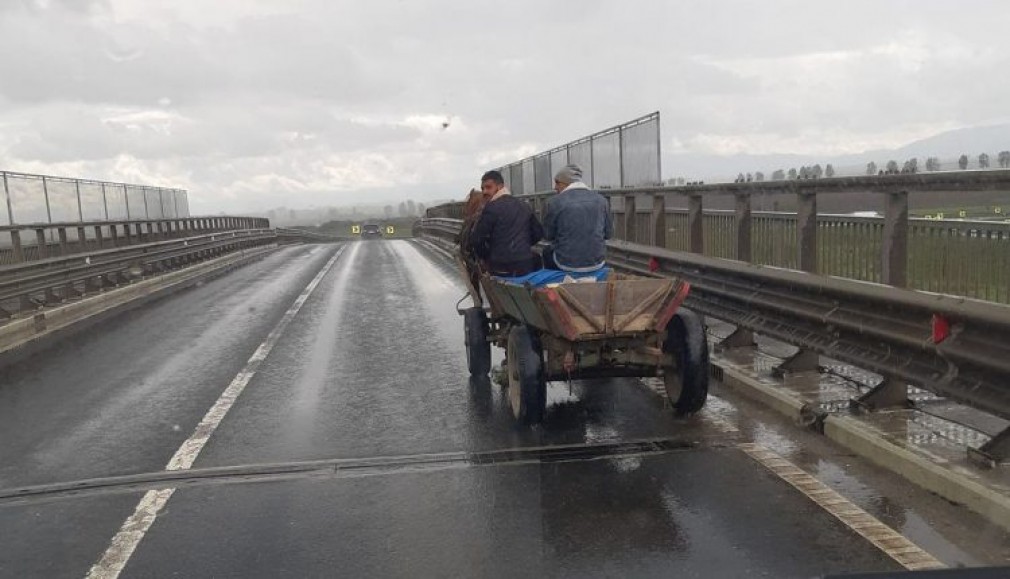 Căruță surprinsă mergând pe Autostrada 1 lângă Sibiu