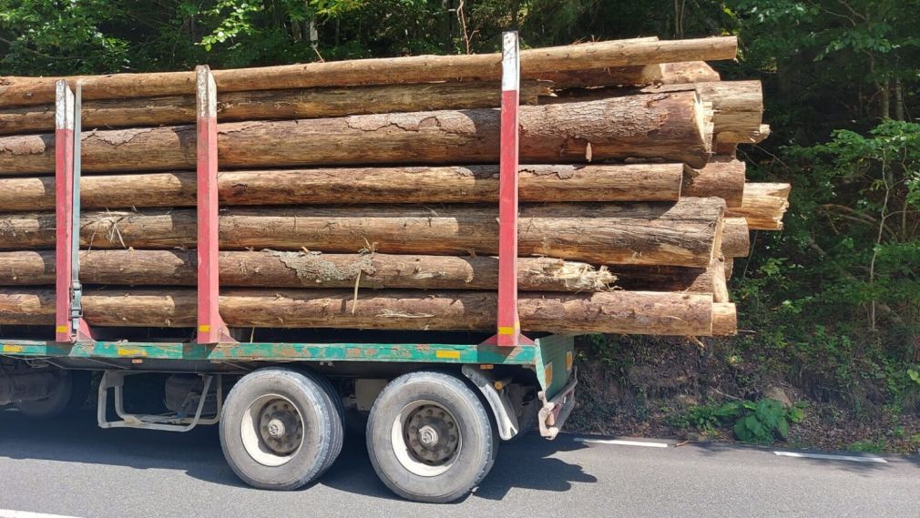 Un camion cu lemen, confiscat de poliție