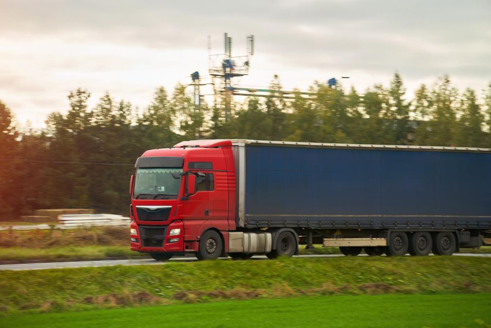 Un camion cu floarea-soarelui s-a răsturnat