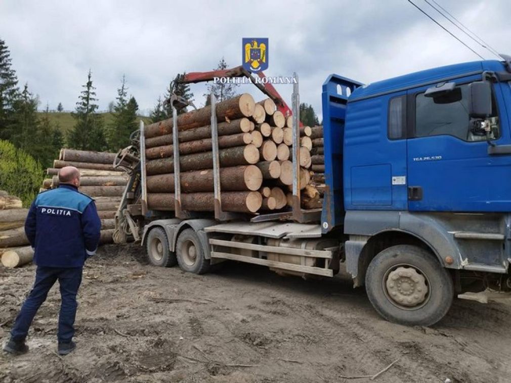 Camion cu 40 de metri cubi de lemn oprit de poliție