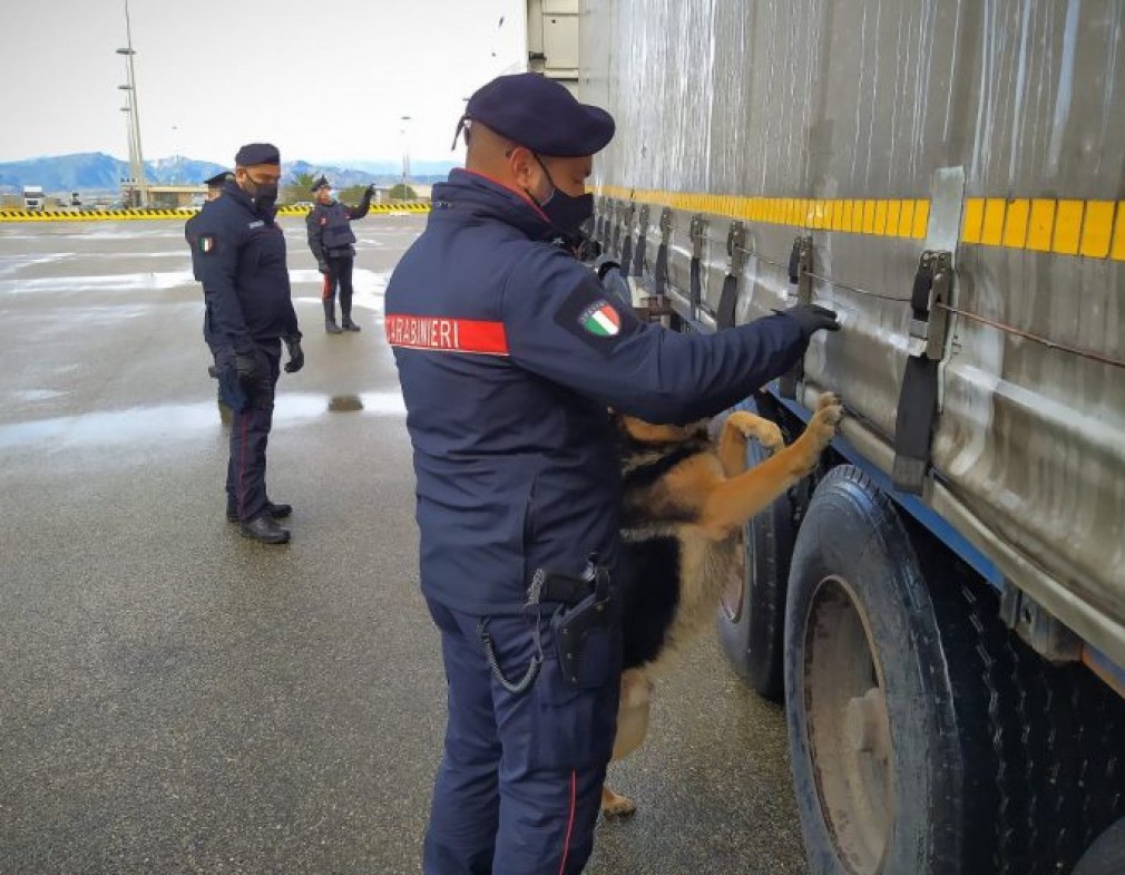 100 de șoferi români de camion, exploatați în Italia. Dormeau numai în cabină