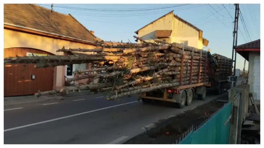Un camion plin cu lemne, pe un drum cu restricție de tonaj