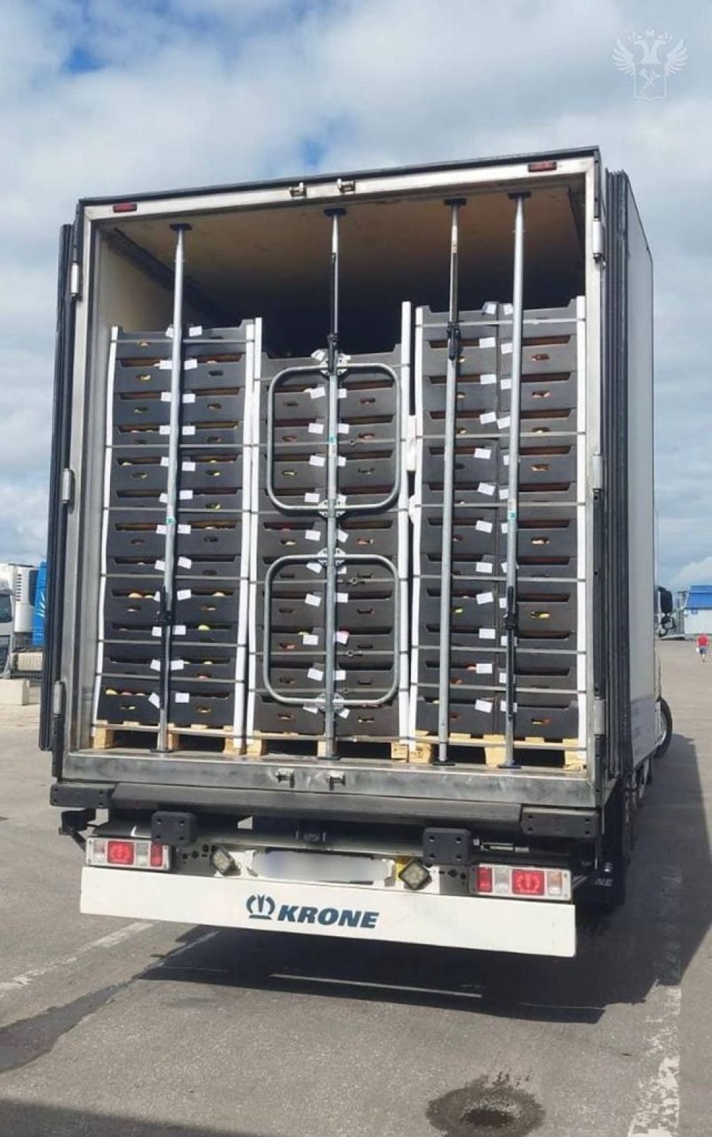 Camion moldovean, reținut în Rusia. Ducea droguri ascunse în mere